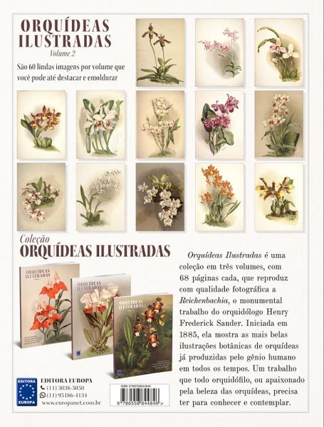 Imagem de Orquídeas Ilustradas - 3 Livros