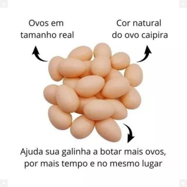 Imagem de Ovos Falsos De Plástico Serve Para Indez Galinha