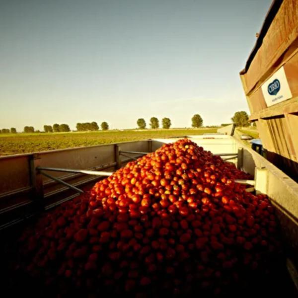 Imagem de Pack 2 Passata Italiana Rustica Cirio Purê De Tomate 680g