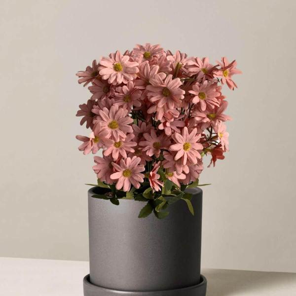 Pacote 15 Buquês de Margaridas Flores Artificiais de Alta Qualidade Direto do Distribuidor - DE4423 - Decora Flores Artificiais Imagem de Pacote 15 Buquês de Margaridas Flores Artificiais de Alta Qualidade Direto do Distribuidor - DE4423