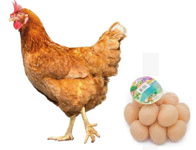 Imagem de pacote com 12 Ovos Falsos De Plástico caipira de brinquedo para brincar pegadinha