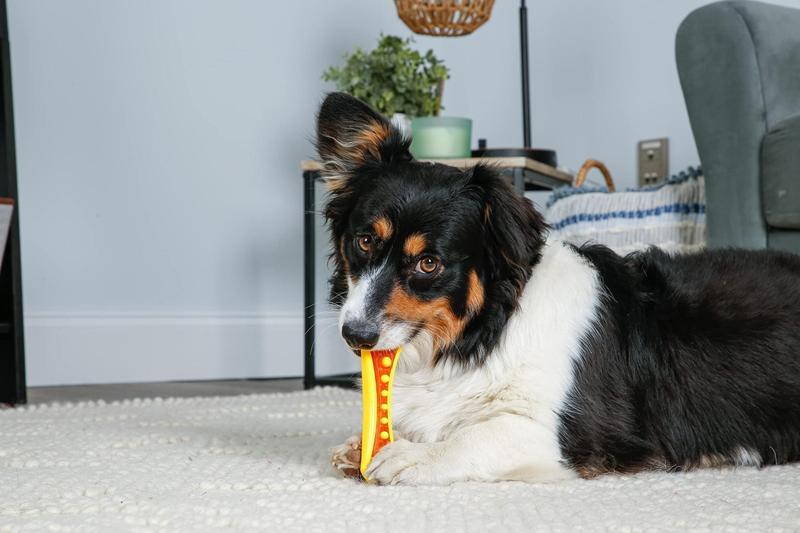 Imagem de Pacote com 3 brinquedos e guloseimas para cães Hartz Chew 'n Clean Dental Duo