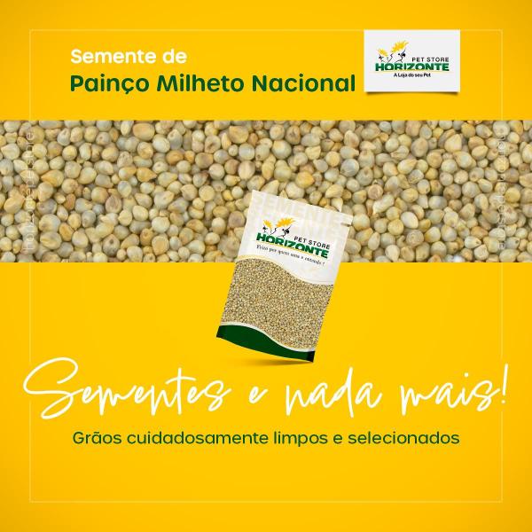 Painço Milheto 5kg - Horizonte Pet Store - Semente Limpa para Pássaros Alimento para Canários Curió Imagem de Painço Milheto 5kg - Horizonte Pet Store - Semente Limpa para Pássaros Alimento para Canários Curió