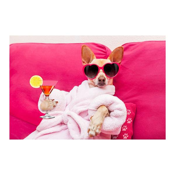Painel Adesivo de Parede - Cachorro - Pet Shop - 775pnm - Allodi Imagem de Painel Adesivo de Parede - Cachorro - Pet Shop - 775pnm
