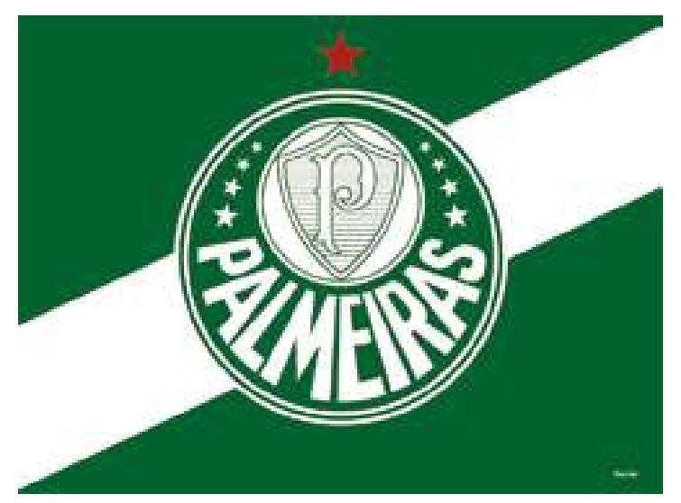Painel festa PALMEIRAS decoração aniversário TNT 1,40m - FESTCOLLOR Imagem de Painel festa PALMEIRAS decoração aniversário TNT 1,40m