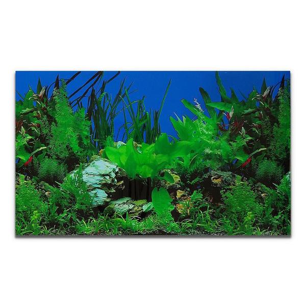 Imagem de Painel Para Aquários Fundo Azul E Plantas Pp-081 - 30X200Cm