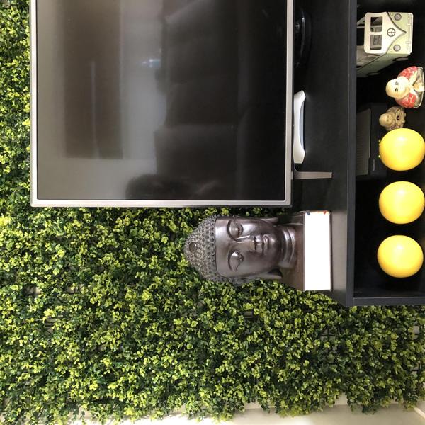 Painel verde outono graddus gg003a Imagem de Painel verde outono graddus gg003a