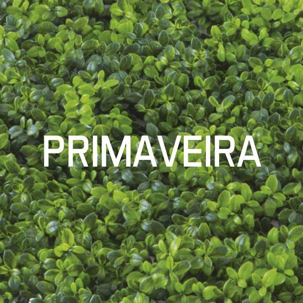 Painel verde primavera graddus gg019a Imagem de Painel verde primavera graddus gg019a