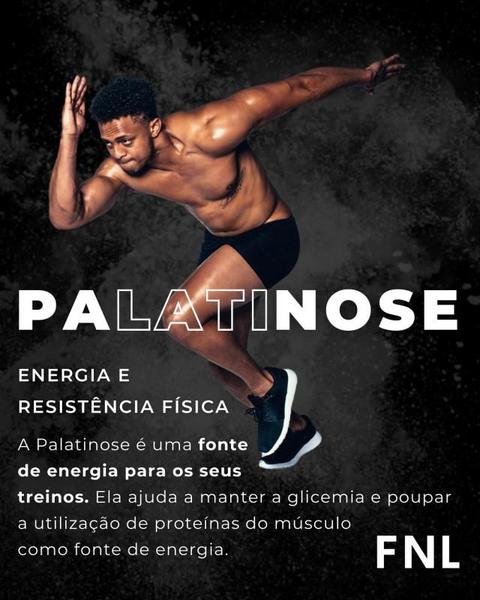 Imagem de Palatinose 100% Pura 300g - Energia e ResistênciaFísica