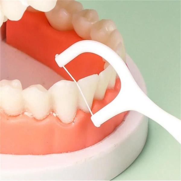 Imagem de Palhetas de Fio Dental Descartáveis Portáteis - Alta Tensão - Caixa com 1, 2 ou 5 Unidades