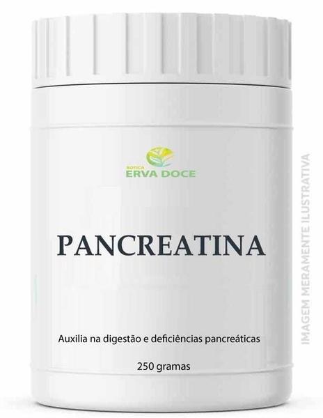 Imagem de Pancreatina 250 Gramas