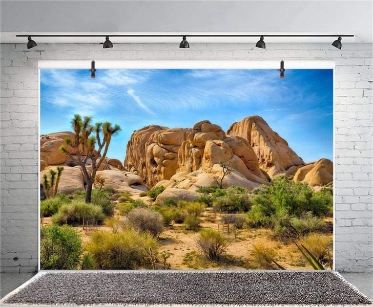 Imagem de Pano de fundo CSFOTO: Parque Nacional Joshua Tree, vinil de 3x2m