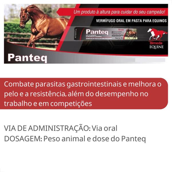 Imagem de Panteq Vermífugo Oral Para Equinos 40g Bimeda