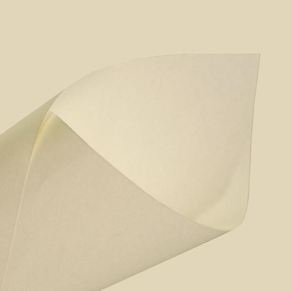 Papel Book Pólen Bold 90g FIBRA CURTA Pacote com 1.000 Folhas A5 - Suzano Imagem de Papel Book Pólen Bold 90g FIBRA CURTA Pacote com 1.000 Folhas A5