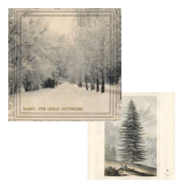 Imagem de Papel Cardstock Scrapbook Artesanato Inverno Floresta Winter