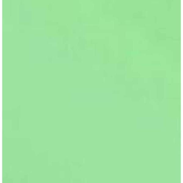 Imagem de Papel Cartão 65x47 210g Verde Claro 7703 Griffe - 20fl