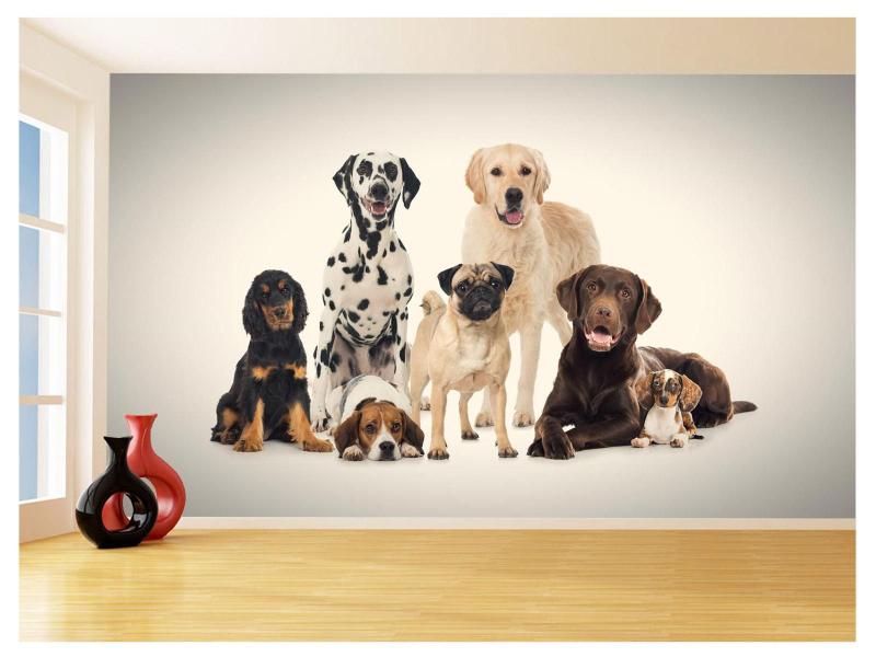 Imagem de Papel De Parede 3D Animais Cão Gato Petshop 3,5M Anm419