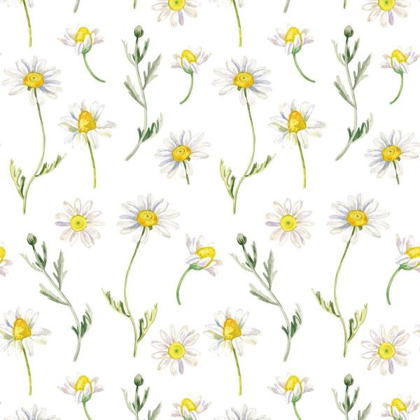 Imagem de Papel de Parede Adesivo Floral Camomila N016028 0,58x3M