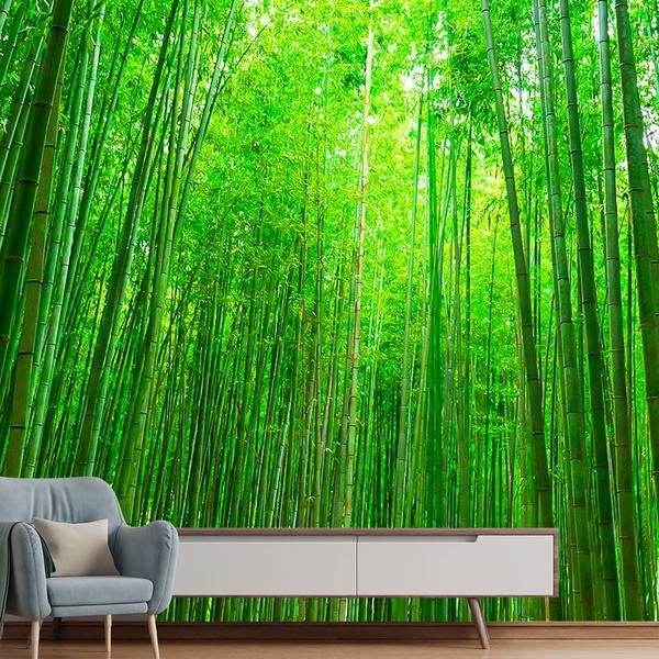 Imagem de Papel de Parede Floresta Bambu Paisagem Sala Painel - 091pcp