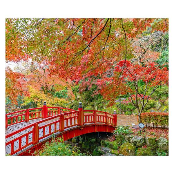 Imagem de Papel de Parede Japonês Jardim Sakura Ponte Sala Adesivo - 425pcm