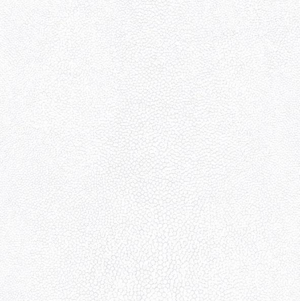 Imagem de Papel De Parede Natural Fx 2 Textura Branco G67470