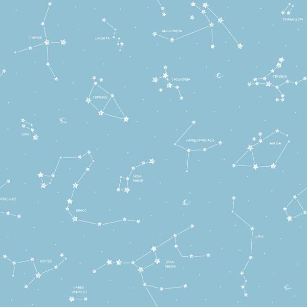 Imagem de Papel de Parede Pippo Constellation 33612