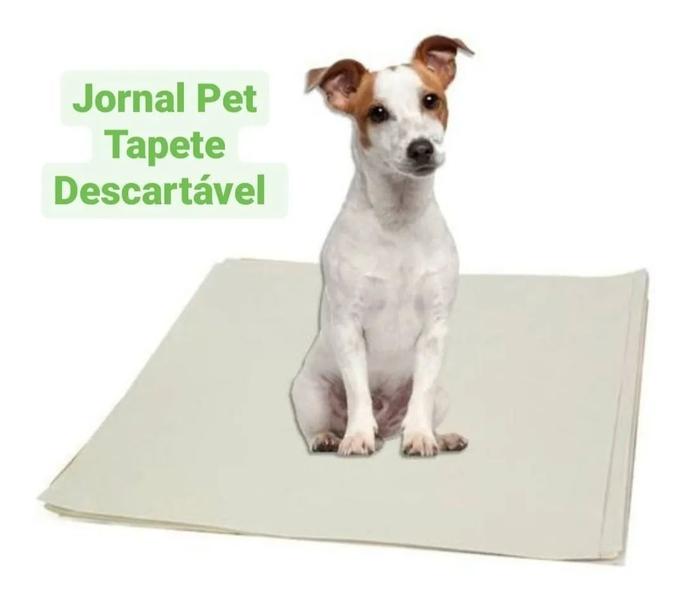 Imagem de Papel Reciclado Jornal Pet tapete enchimento 100 Folhas