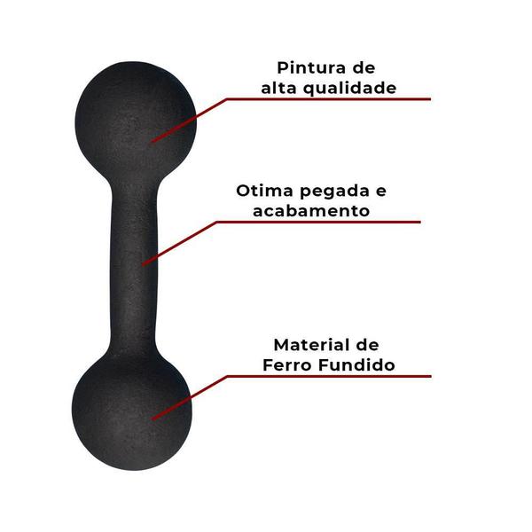 Imagem de Par De Halter Bola Pintado 10Kg Treino Peso Fitness