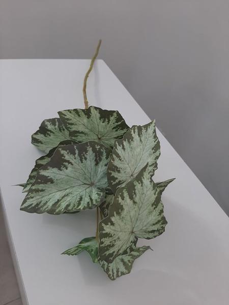 Imagem de Par de Hastes Folhas Permanentes Begônia Verde e Branca 84 cm
