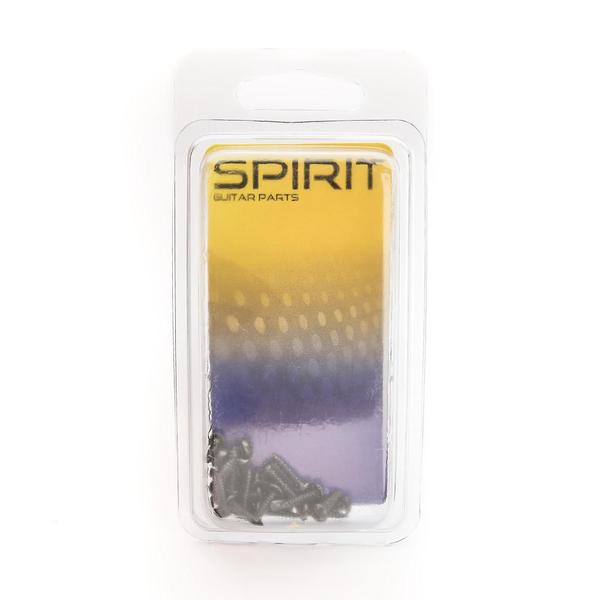Parafuso Tarraxas WR2.1.0x10.0 Preto (24 Peças) Spirit - Spirit guitar p Imagem de Parafuso Tarraxas WR2.1.0x10.0 Preto (24 Peças) Spirit
