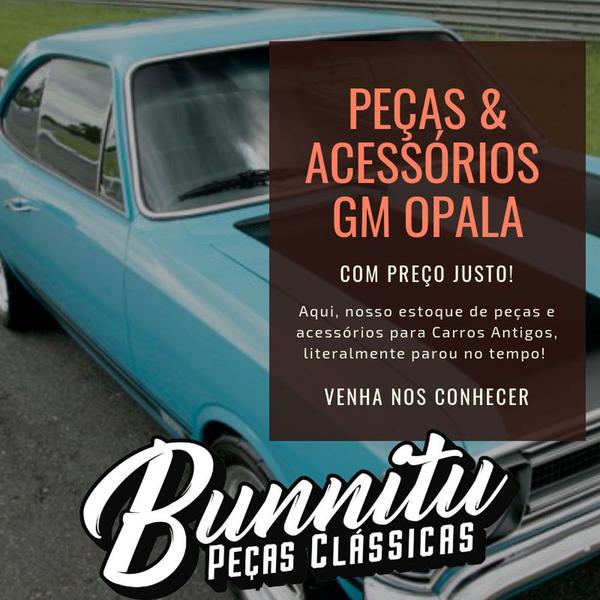 Imagem de Pedal Borracha Acelerador GM Opala Caravan Até 1979 030437