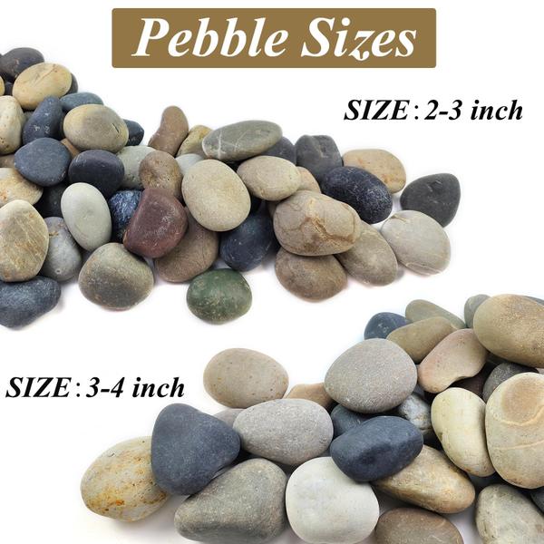 Pedras decorativas do rio FANTIAN Mexican Beach Pebbles 2-3 polegadas e 2,27 kg Imagem de Pedras decorativas do rio FANTIAN Mexican Beach Pebbles 2-3 polegadas e 2,27 kg
