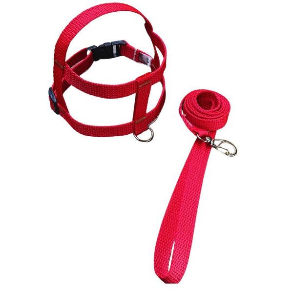 Imagem de Peitoral Nylon Cachorro Pequeno Vermelho Nº 5 15mm