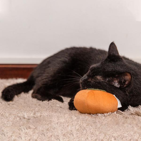 Imagem de Pelúcia Cmidas Abóbora Para Pet Oikos Animal