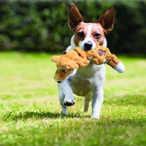 Imagem de Pelucia Kong Knots Raposa Com Apito Para Cães M/G