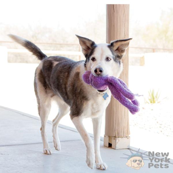 Imagem de Pelúcia Kong Wubba Snugga Brinquedo Para Cães e Gatos Grande - Roxo