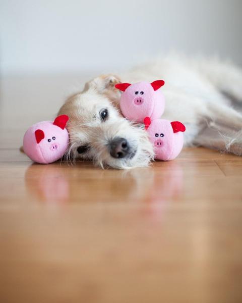 Imagem de Pelúcia Zippypaws Burrow Brinquedo Com Apito Celeiro e Porcos Para Cães E Gatos