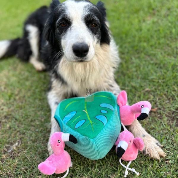 Imagem de Pelúcia Zippypaws Burrow Brinquedo Com Apito Flamingos em Monstera Para Cães E Gatos