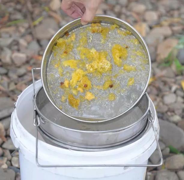 Imagem de Peneira Em Inox Para Mel Dupla Camada Extensível Apicultura