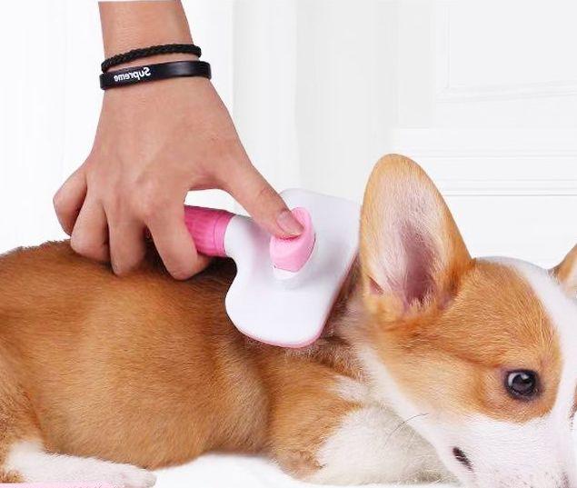 Imagem de Pente de depilação de cachorro Arrumando gatos Pente pet Produtos Cat Massage Pente para Cães Escova de Cabelo Ferramenta pet Navalha Flea Comb Combs de cachorro