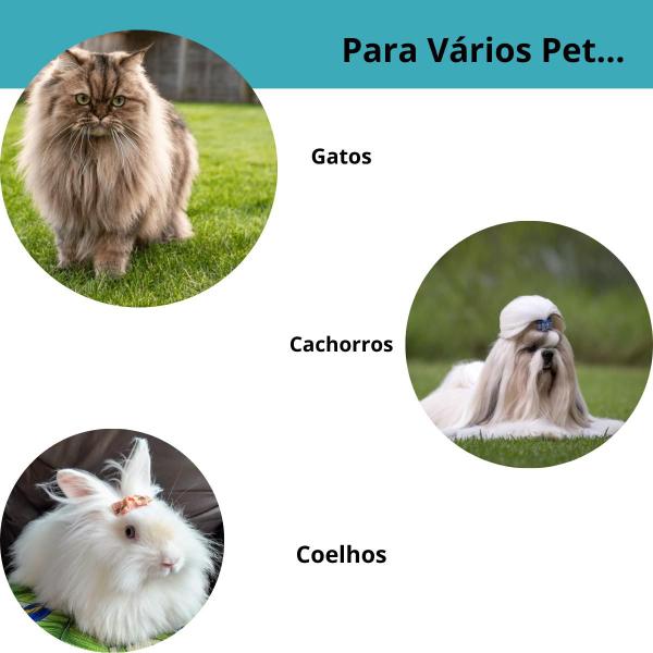 Imagem de Pente Secador Pet - Profissional Banho Tosa Cachorro Gato 110V funcional e seguro