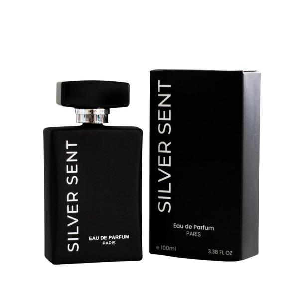 Imagem de Perfume Masculino Silver Sense 100ml