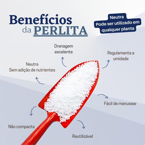 Imagem de Perlita expandida grossa premium para substrato 100 Litros