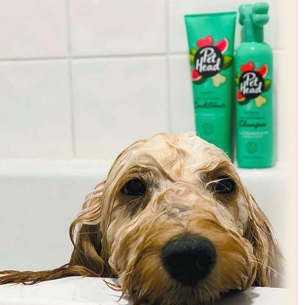 Imagem de Pet Head Furtastic Knot Condicionador Desembaraçador de Pelos 250ml