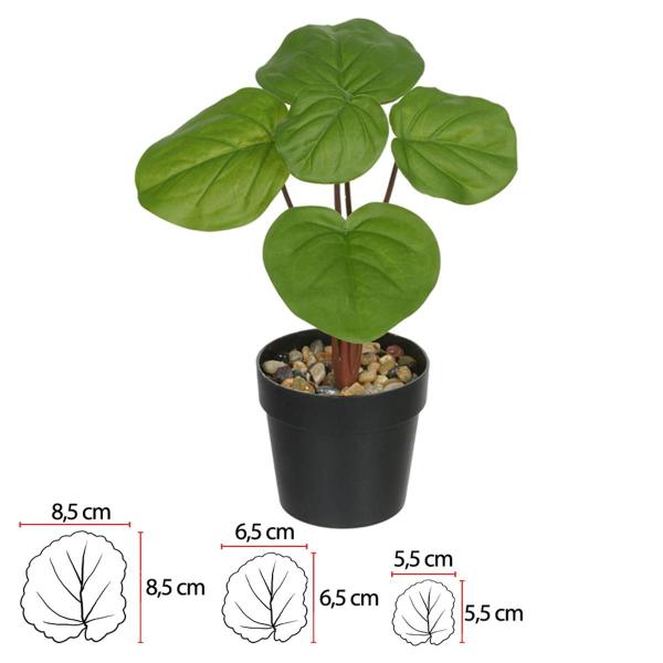 Imagem de Pilea toque real permanente c/ pote x5 verde 24cm florarte