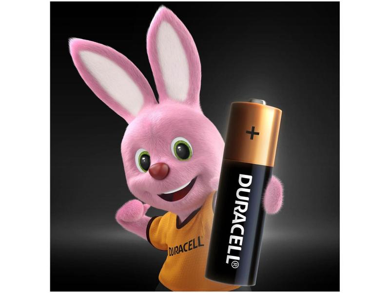 Imagem de Pilha AA Pequena Alcalina 4 Unidades - Duracell