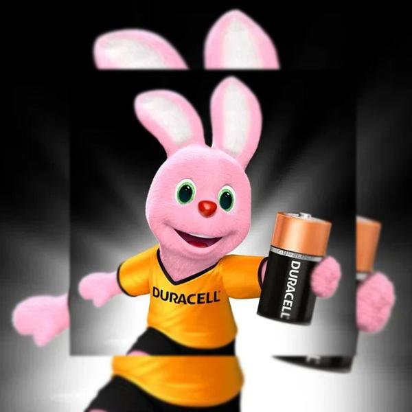 Imagem de Pilha Alcalina Duracell C PACOTE 2U