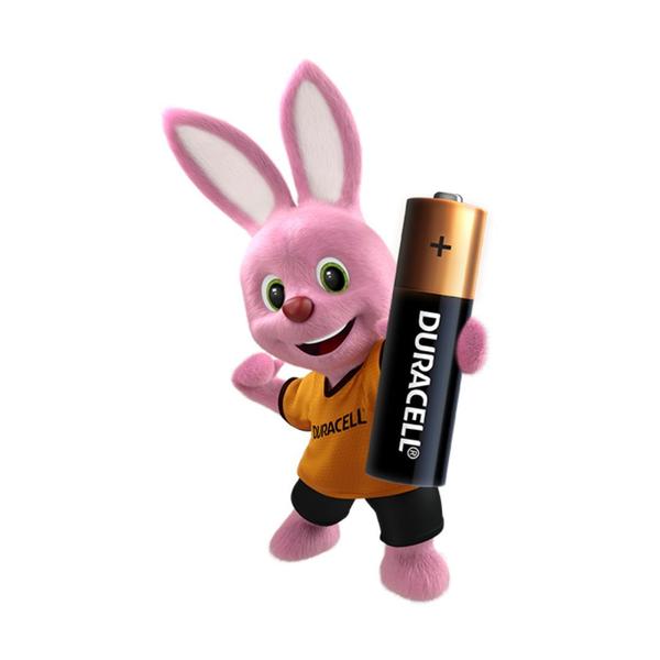 Imagem de Pilha Alcalina Pequena AA 2 unidades Duracell  6413