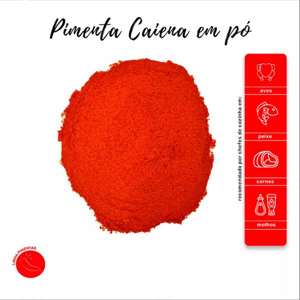 Imagem de Pimenta Caiena em Pó 100% Natural Qualidade Superior Pote com Dosador 60g 