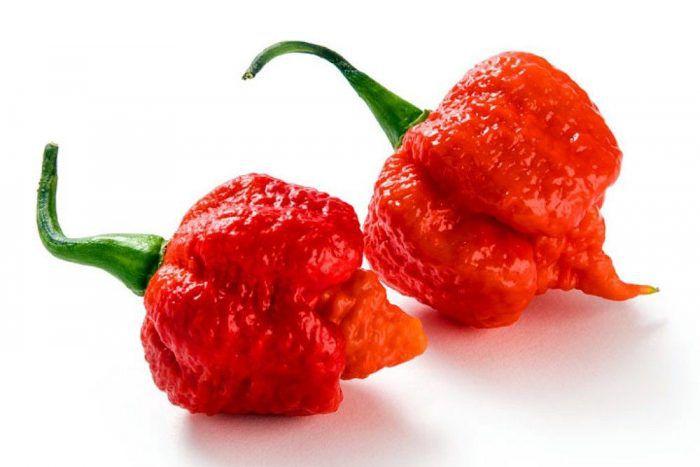 Pimenta carolina reaper defumado 100g ardência 10 kit 2 und - Armazém Mineiro Imagem de Pimenta carolina reaper defumado 100g ardência 10 kit 2 und